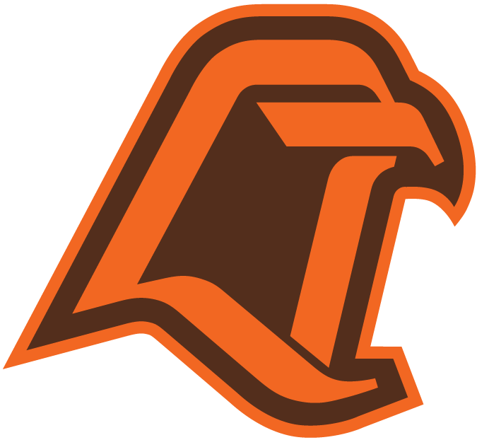 Bowling Green Falcons 1980-2005 Alternate Logo 02 iron on paper